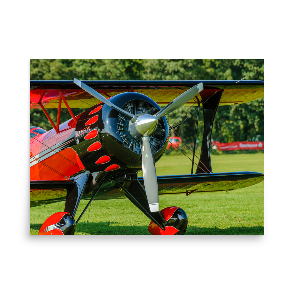 Pitts Special Radial Poster