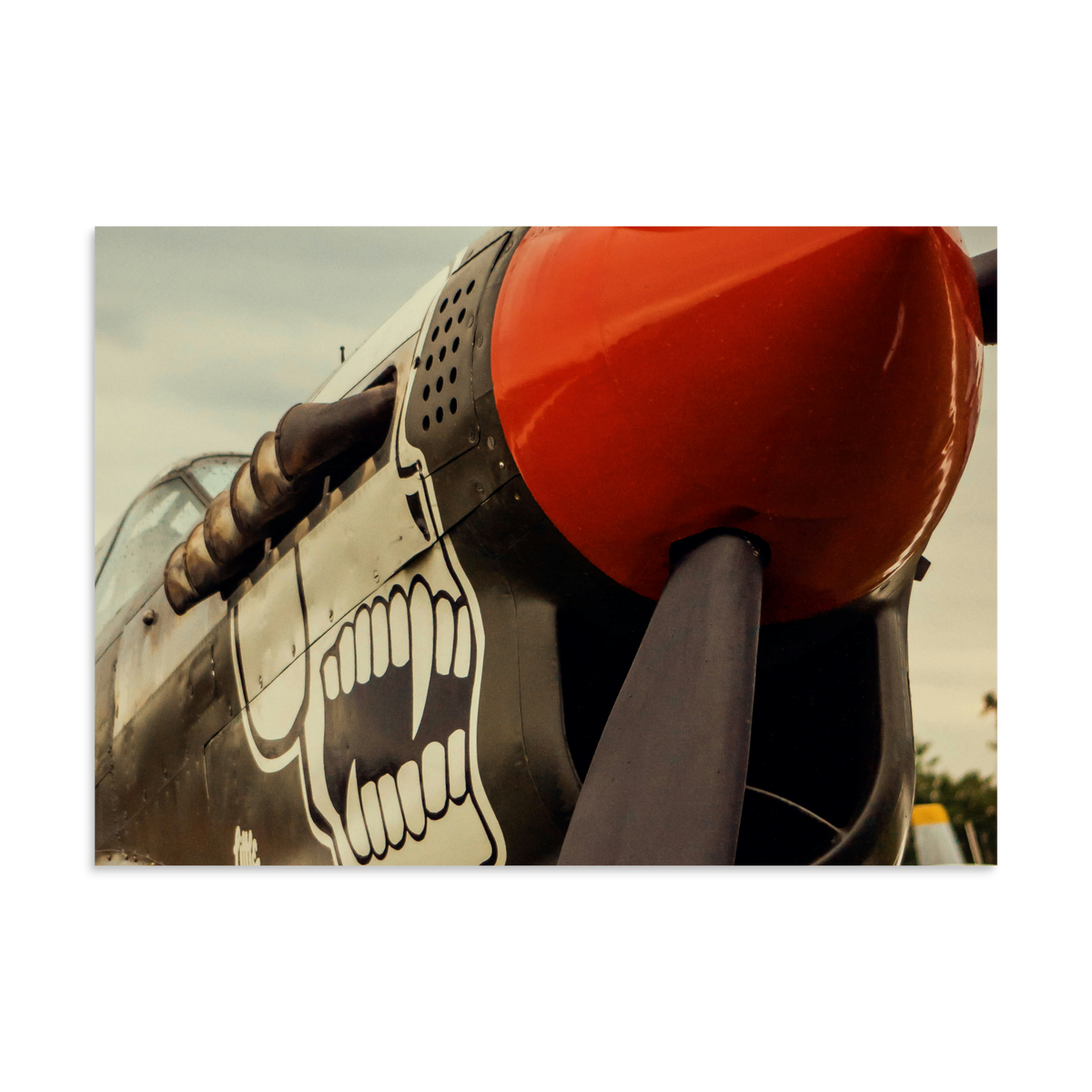 P-40 Warhawk Poster